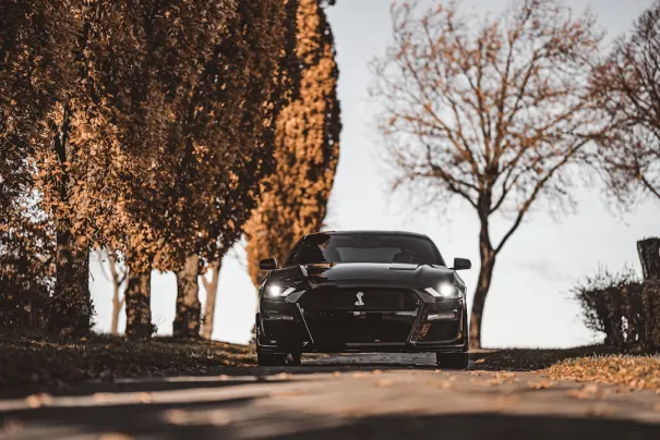 אףבאטי קזינו אפליקציית Android/iOS